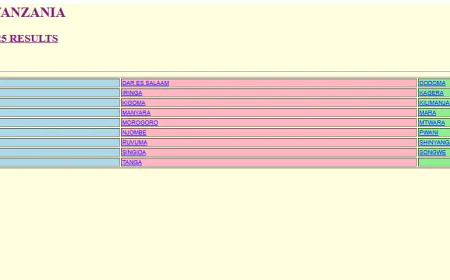 Matokeo ya Darasa la Nne 2025/2026 Released by NECTA