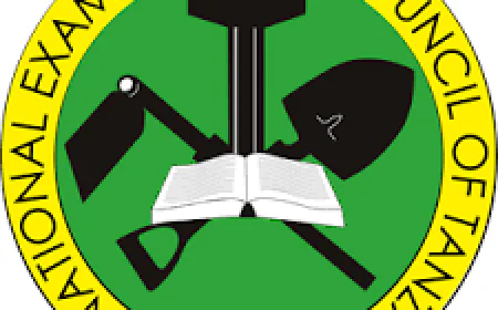 NATIONAL EXAMINATIONS COUNCIL OF TANZANIA SFNA Results 2025