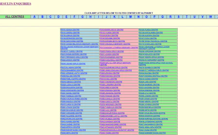 CSEE Results Declared: Matokeo Kidato Cha Nne 2025 Out