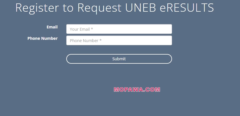 How Do I check UNEB PLE Results