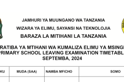 NECTA Ratiba ya Mtihani darasa la saba 2024 timetable