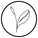 Kijani Forestry