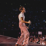 Harry Styles Wealth Explained: $140 Million Fortune