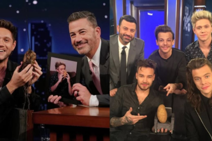 Niall Horan explains the unexpected downside of installing a home pub and dealing with crowds after London pubs close.