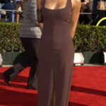 Explore Theresa Randle’s career, recent arrest, and legacy in films like Bad Boys and Malcolm X in this detailed breakdown.