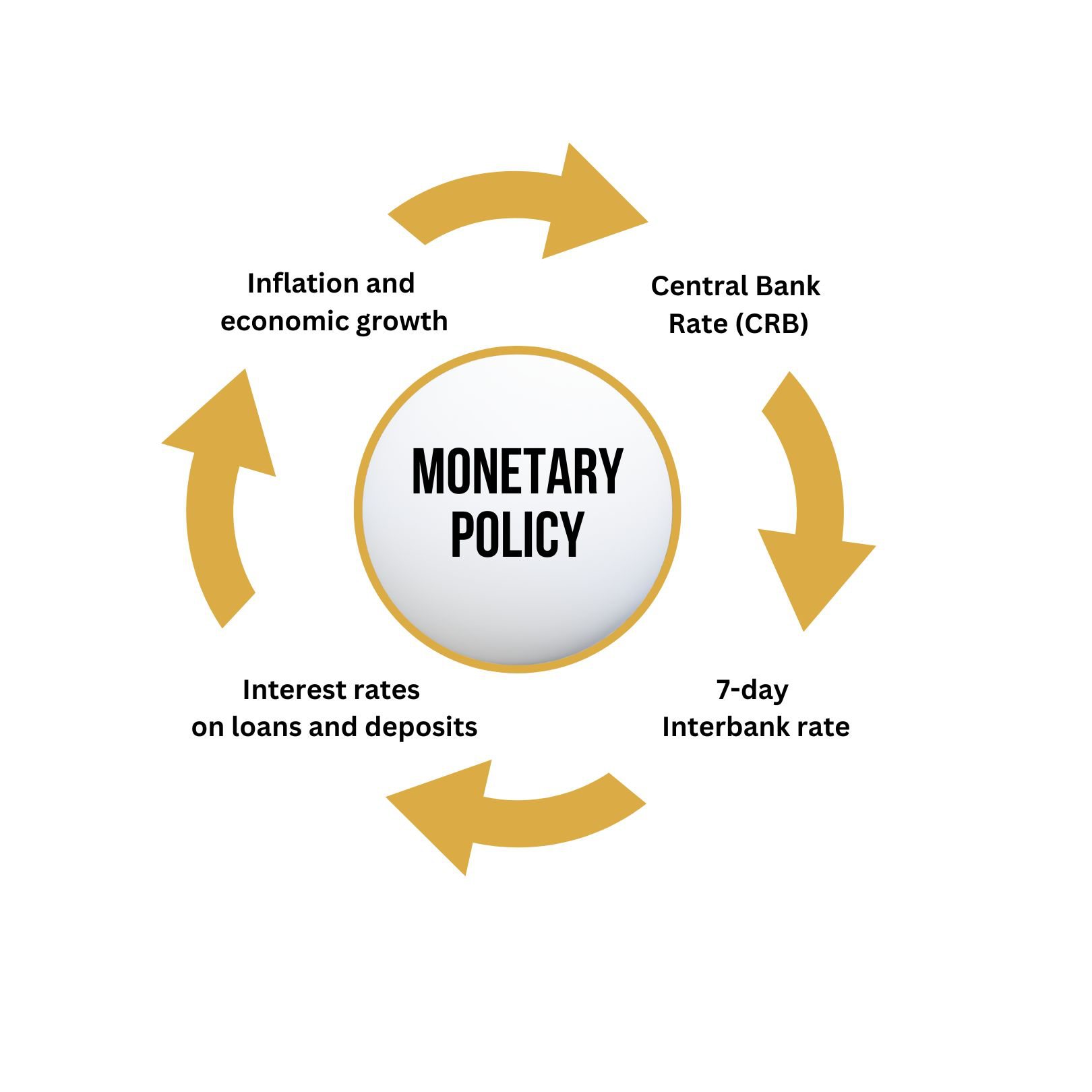 Inflation explained in simple terms. Learn causes, effects, tariffs, and how central banks manage rising prices in today’s economy.