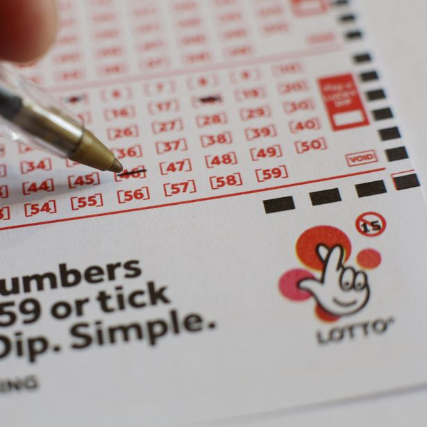 National Lottery Lotto Results: Latest Winning Numbers
