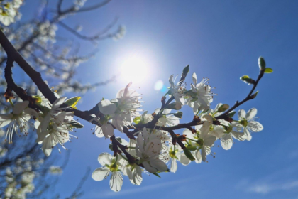 April Meaning, Events, and Global Significance Explained