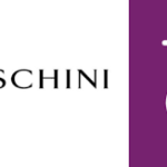 TFG YES Internship 2026: Youth Jobs in South Africa