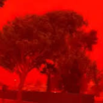 Tropical Cyclone Narelle turned Australia’s sky red. Discover the science, impact, and rare weather conditions behind the dramatic phenomenon.