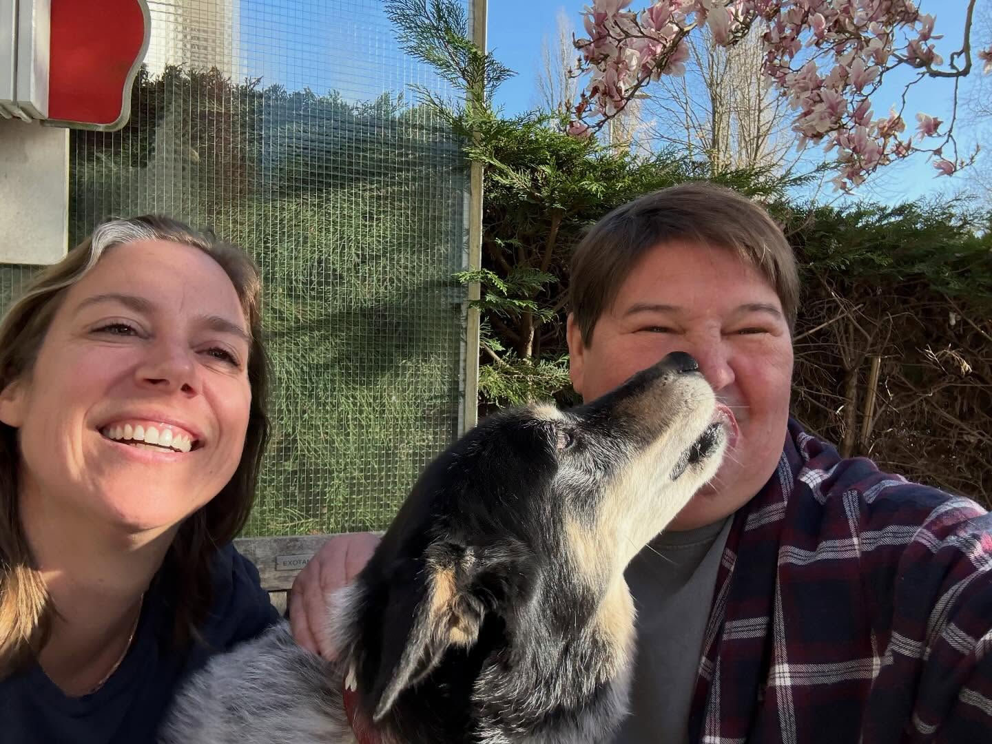 Martijn Krabbé receives massive support after a King’s Day photo and floral tribute amid his ongoing illness.