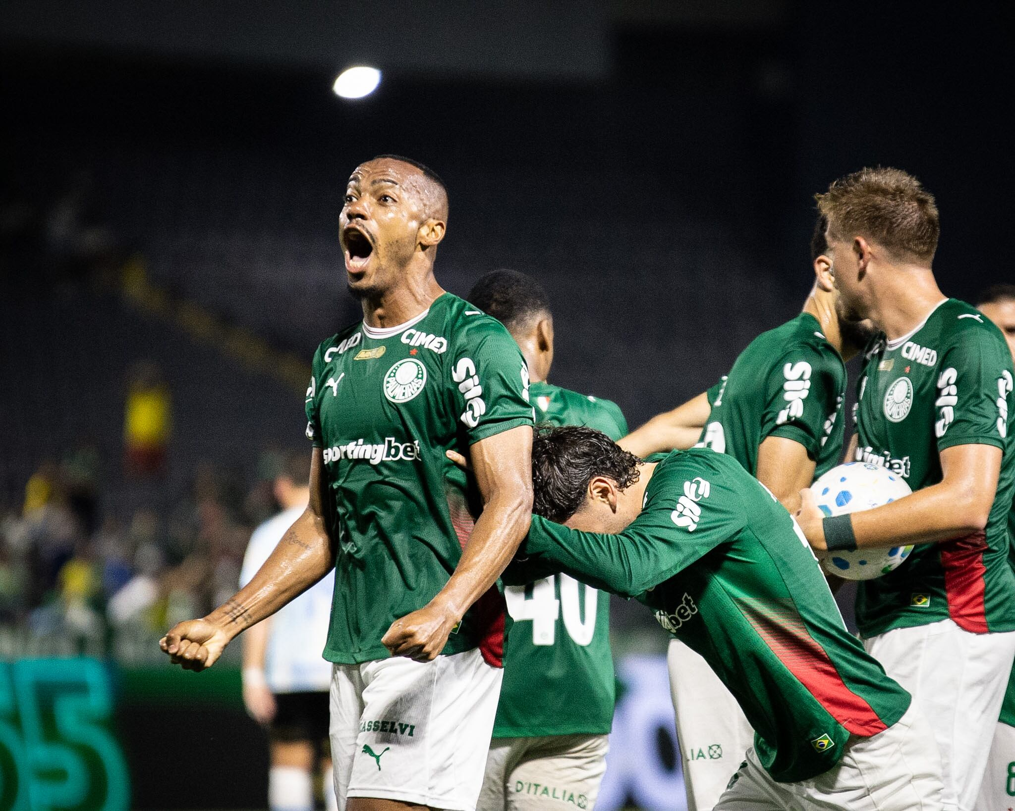 Palmeiras vs Grêmio Result: Verdão Wins 2–1