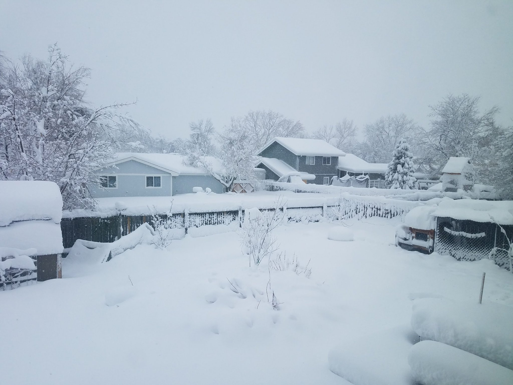 Heavy snow warning issued for Colorado, Wyoming, and Montana with up to 24 inches expected. Travel disruptions and dangerous conditions forecast.