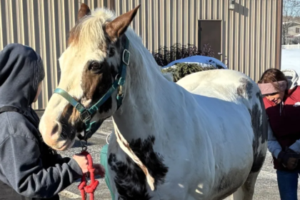 Discover everything about the 2026 Kentucky Derby, including date, odds, contenders, and key storylines shaping this year’s race.