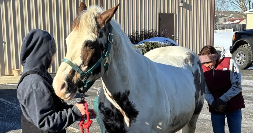 Discover everything about the 2026 Kentucky Derby, including date, odds, contenders, and key storylines shaping this year’s race.