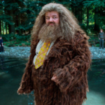 Explore how Harry Potter grew into a global phenomenon, from books and films to drone shows and immersive experiences worldwide