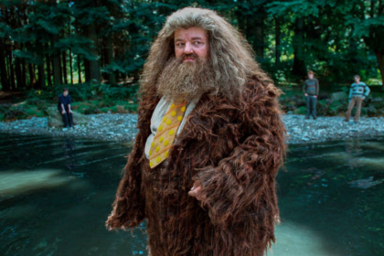 Explore how Harry Potter grew into a global phenomenon, from books and films to drone shows and immersive experiences worldwide