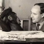 Learn how The Human Zoo explains modern stress, behaviour, and urban life using biology and evolution.