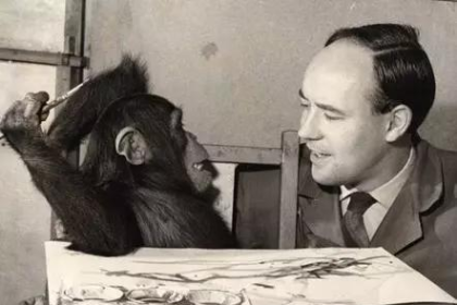 Learn how The Human Zoo explains modern stress, behaviour, and urban life using biology and evolution.