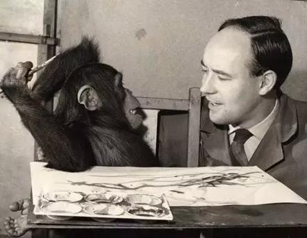 Learn how The Human Zoo explains modern stress, behaviour, and urban life using biology and evolution.