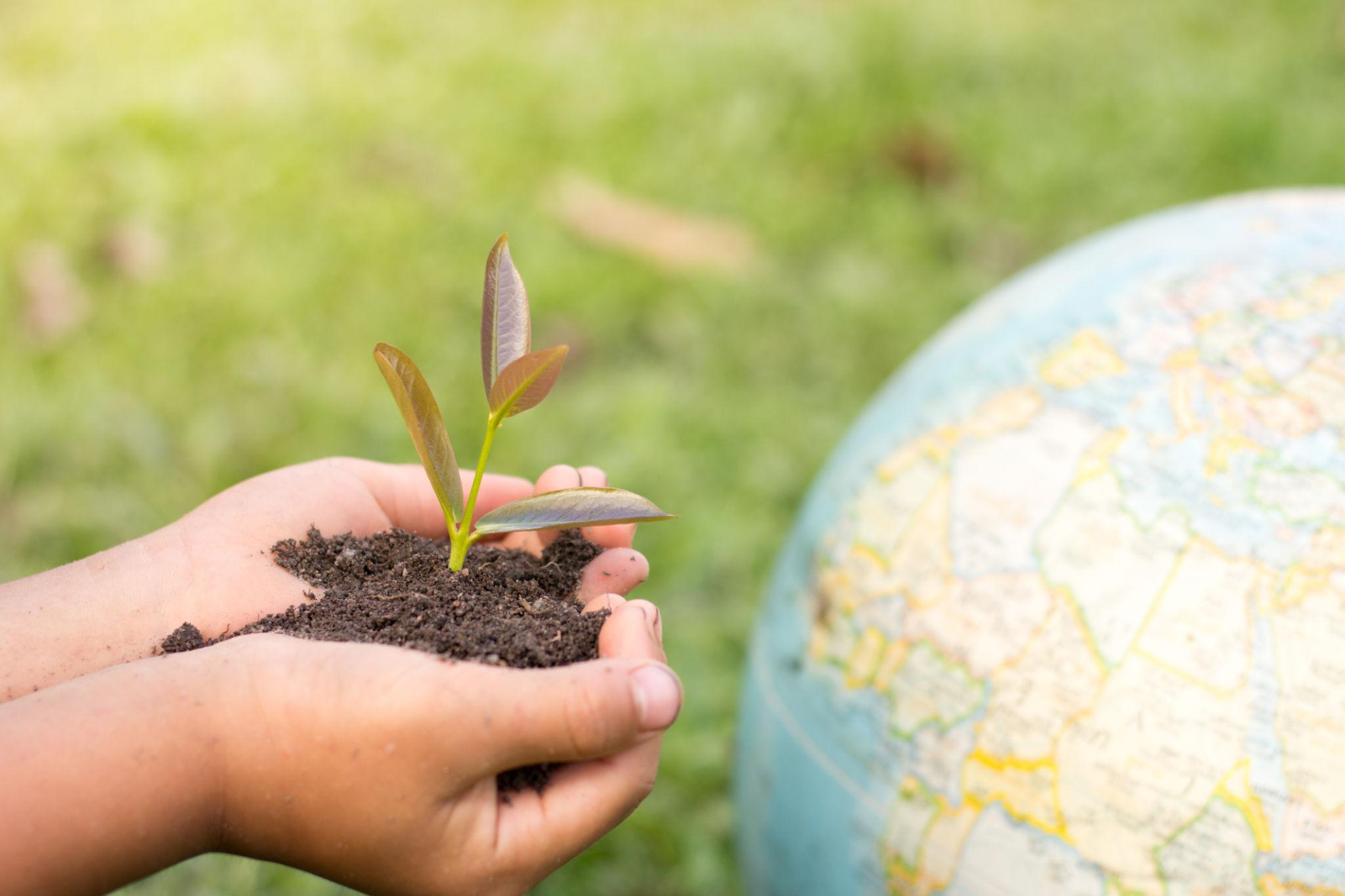 Earth Day 2026 explained: its history, modern meaning, and how simple actions like planting trees support sustainability and cleaner environments.