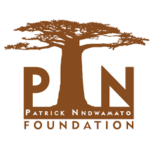 PN Foundation Bursary 2027 South Africa: Apply Now