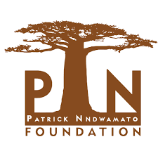 PN Foundation Bursary 2027 South Africa: Apply Now