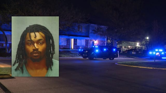 Daily Voice News: How Local Reporting Shapes Communities