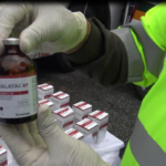 Jasveen Sangha sentenced to 15 years in Matthew Perry case. Explore the full story, charges, and impact of the Ketamine Queen trial.