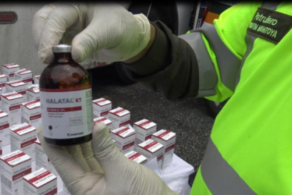 Jasveen Sangha sentenced to 15 years in Matthew Perry case. Explore the full story, charges, and impact of the Ketamine Queen trial.