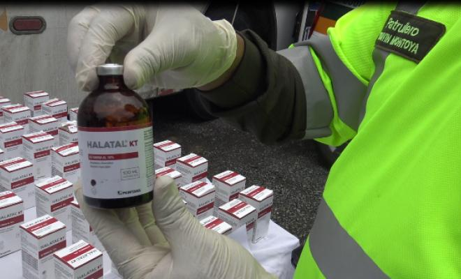 Jasveen Sangha sentenced to 15 years in Matthew Perry case. Explore the full story, charges, and impact of the Ketamine Queen trial.