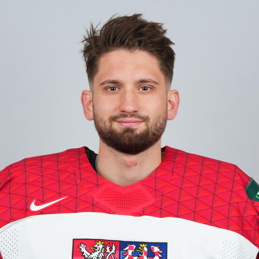 Dan Vladar biography, net worth, age, career, Bruins history, Flames role, stats, injuries, and personal life explained in a complete profile.