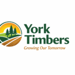 York Timbers Internships 2026: Apply Before 17 April