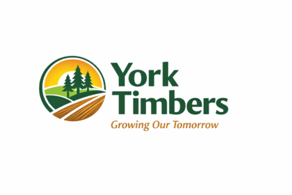 York Timbers Internships 2026: Apply Before 17 April