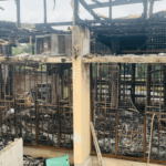 Discover why power cuts happen, what causes blackouts, and how they affect homes, businesses, and the economy.