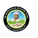 Dr Nkosazana Dlamini-Zuma Internship Programme 2026