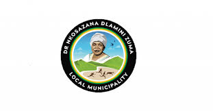 Dr Nkosazana Dlamini-Zuma Internship Programme 2026