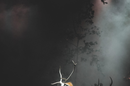Discover Kai Uwe Faust’s journey as a Heilung founder, tattoo artist, and creator of Old Norse-inspired art and music.