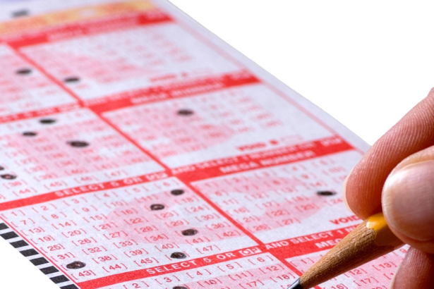 See full lotto results for April 20, 2026 including Powerball, Texas Lottery, and state draw winning numbers across the U.S.