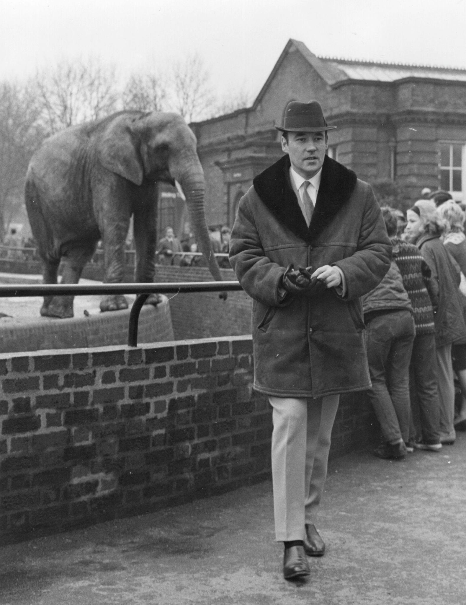 Discover the life, books, and legacy of Desmond Morris, the zoologist behind The Naked Ape who reshaped how we understand human behavior.