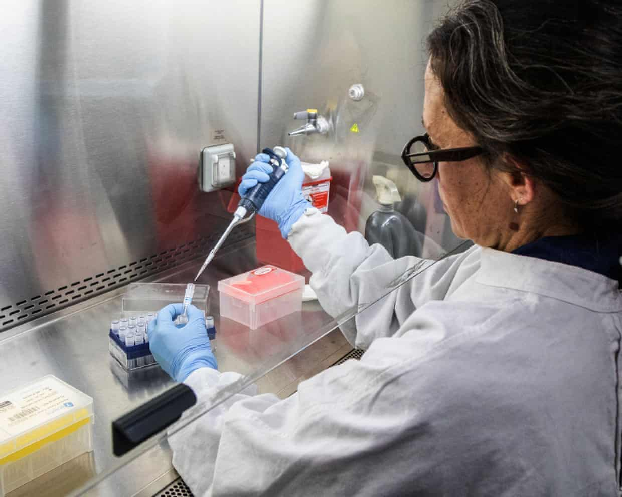 Explore the deadly hantavirus outbreak aboard the MV Hondius cruise ship and the global response to the Andes virus cases.