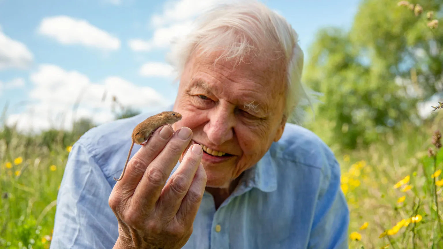 Sir David Attenborough 100th Birthday: A Global Tribute