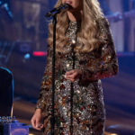 Discover how Hannah Harper won American Idol Season 24 and became country music’s newest breakout star.