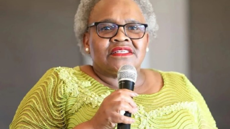 Explore the full story behind Sisisi Tolashe’s dismissal and the allegations that shook South African politics.