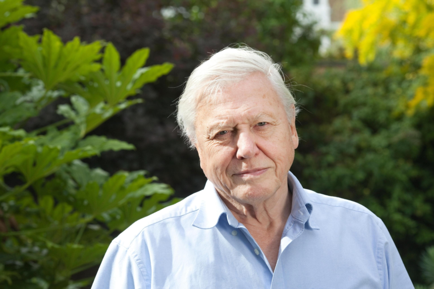 Explore Sir David Attenborough’s 100-year life, broadcasting legacy, conservation work and the celebrations marking his centenary.