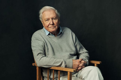David Attenborough turns 100 as scientists, broadcasters and conservationists honor his unmatched legacy in natural history and climate awareness.