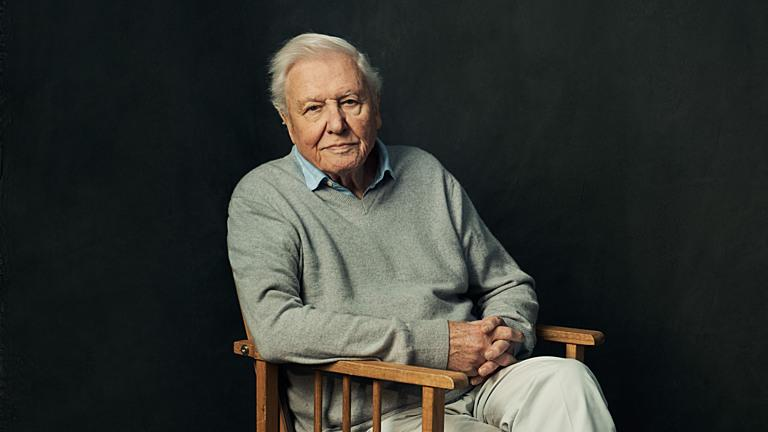David Attenborough turns 100 as scientists, broadcasters and conservationists honor his unmatched legacy in natural history and climate awareness.