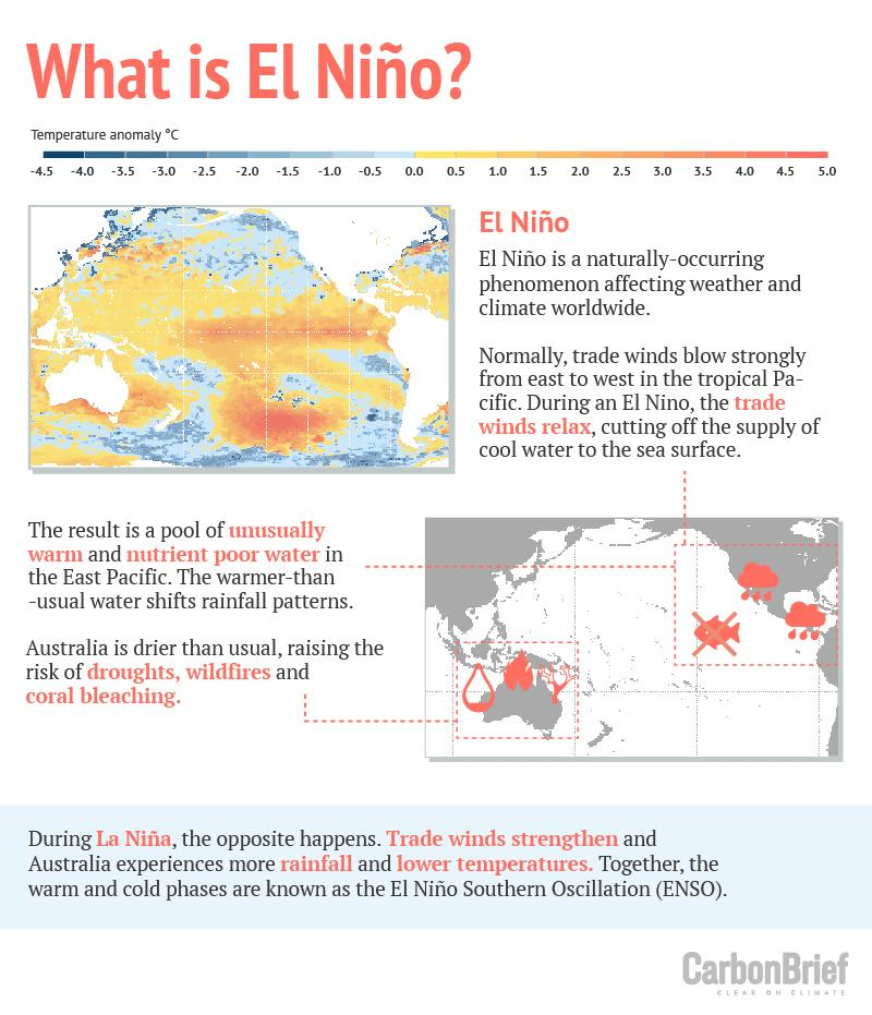Scientists warn a powerful El Niño could reshape global weather in 2026 with heatwaves, floods, droughts and climate disruptions worldwide.