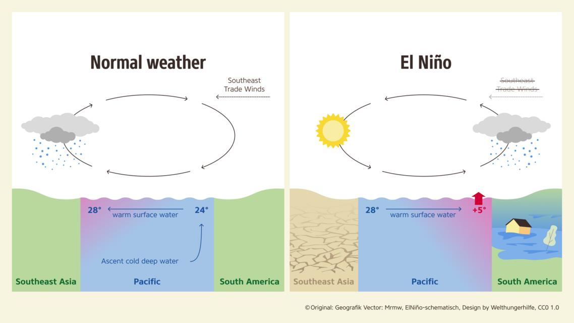 Scientists warn a powerful El Niño could reshape global weather in 2026 with heatwaves, floods, droughts and climate disruptions worldwide.