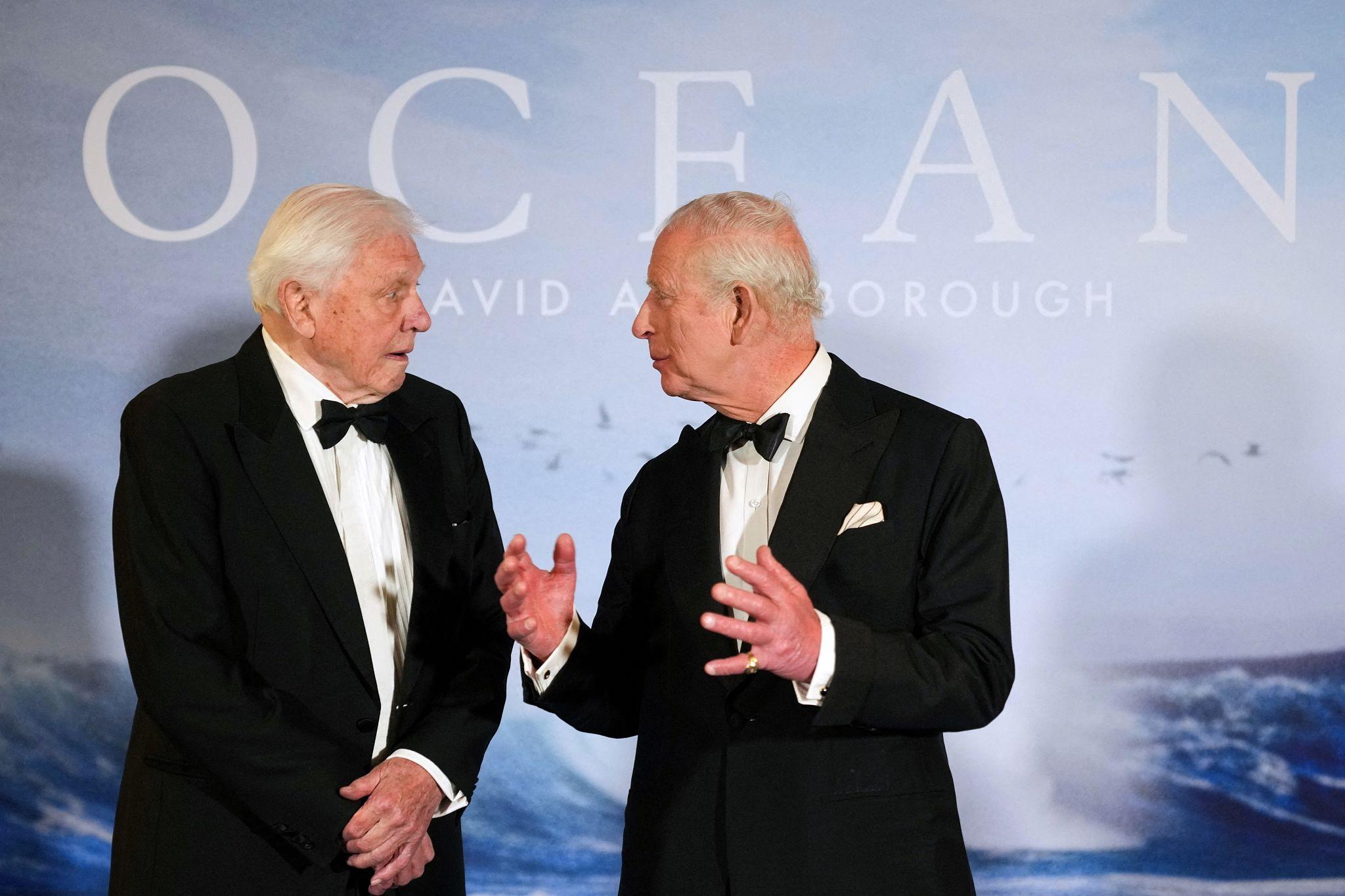 Explore Sir David Attenborough’s 100-year life, broadcasting legacy, conservation work and the celebrations marking his centenary.